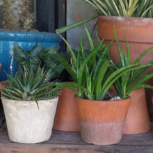 Load image into Gallery viewer, Terracotta Pot - Medium
