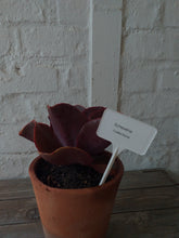 Load image into Gallery viewer, Mini T marker 175mm (5)
